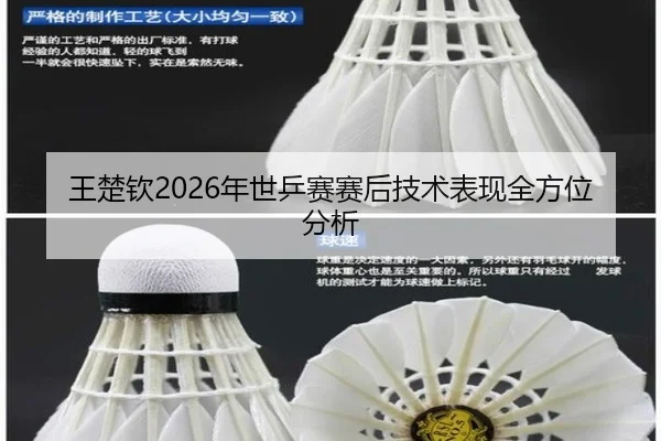 王楚钦2026年世乒赛赛后技术表现全方位分析