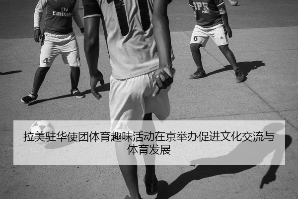 la-mei-zhu-hua-shi-tuan-ti-yu-qu-wei-huo-dong-zai-jing-ju-ban-cu-jin-wen-hua-jiao-liu-yu-ti-yu-fa-zhan-2-727.jpg